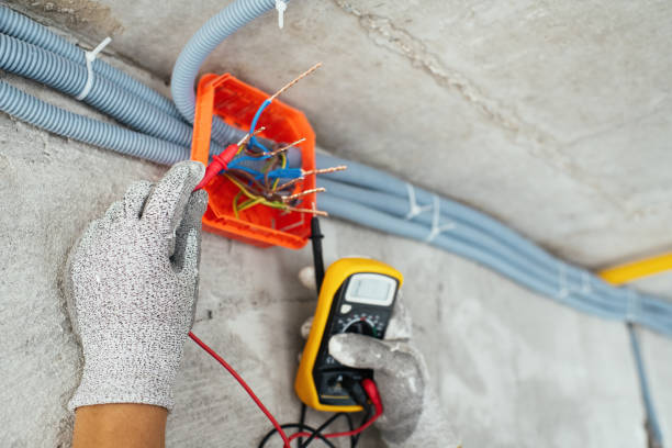Best Electrical System Inspection  in Mcgraw, NY
